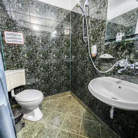 Guest house House Shiligarnika